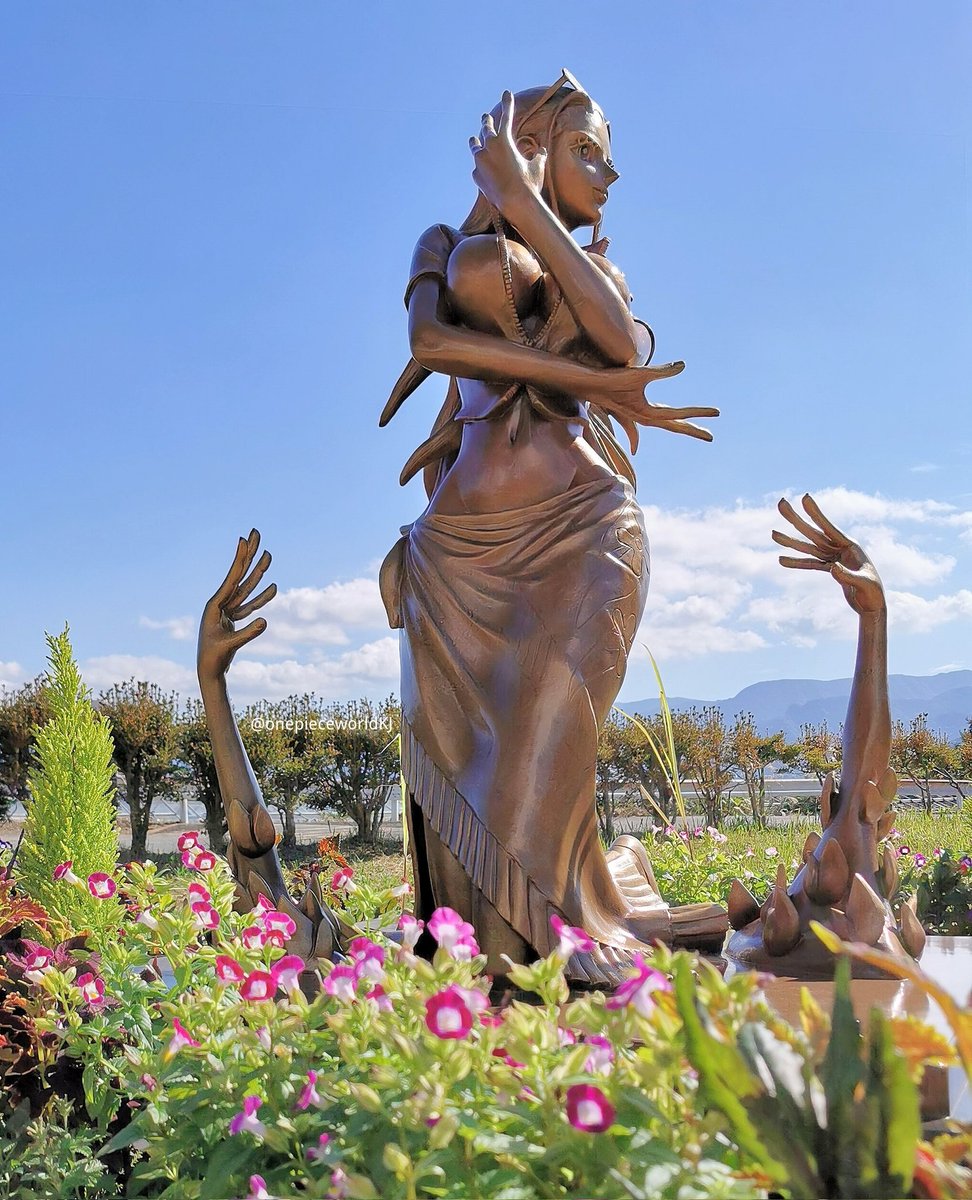 Nico Robin Content tweet media