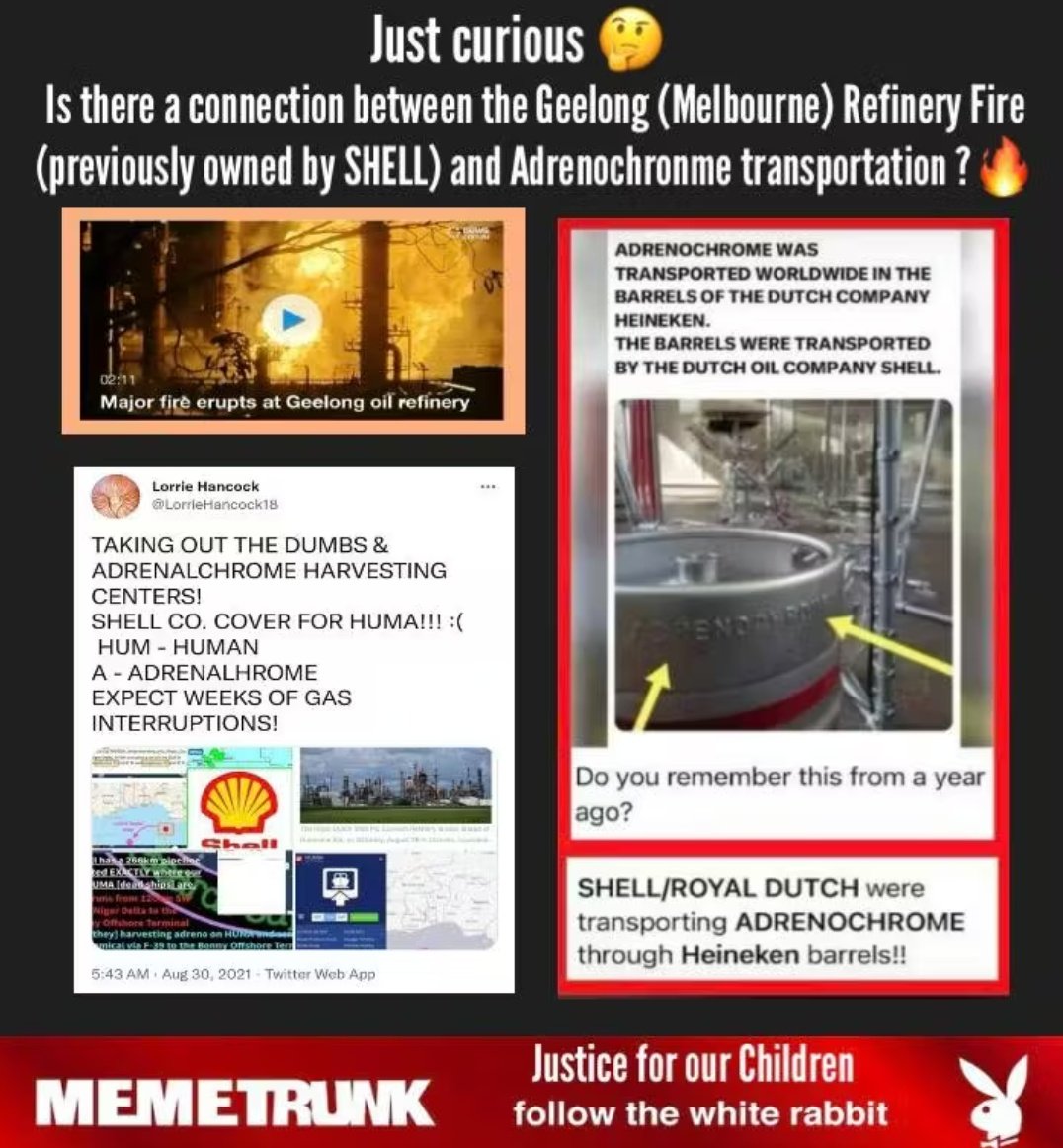 DutchForce17 tweet media