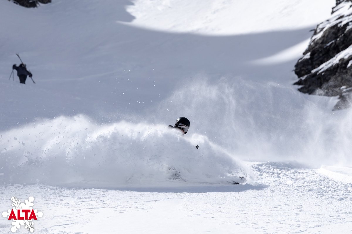 Alta Ski Area tweet media