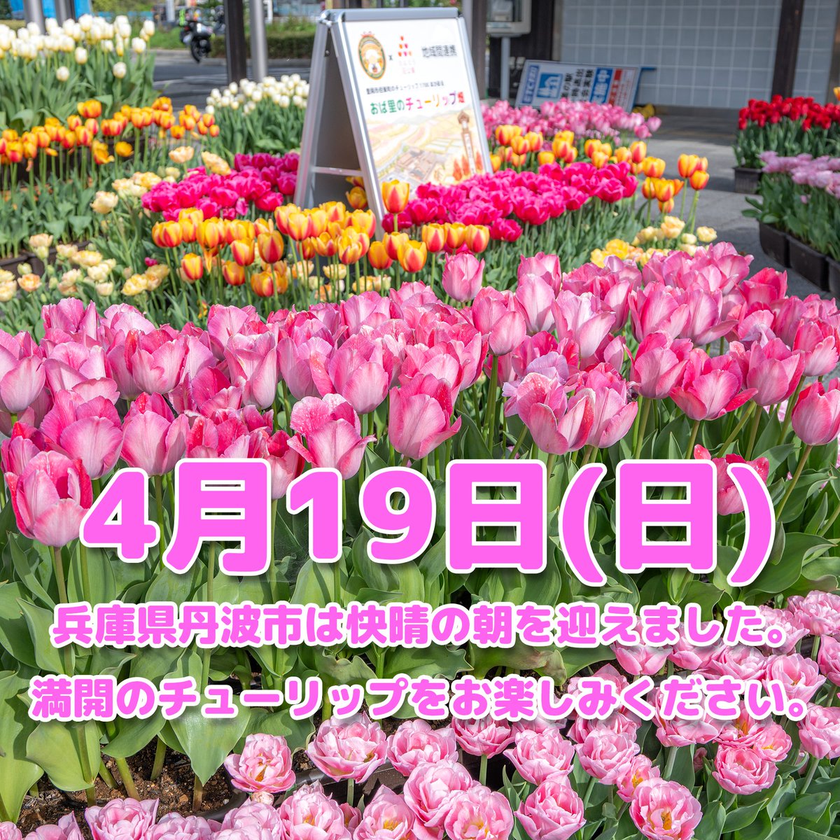 道の駅　丹波おばあちゃんの里【公式】 tweet media