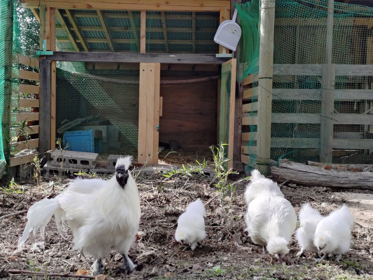 むぅちゃん tweet media