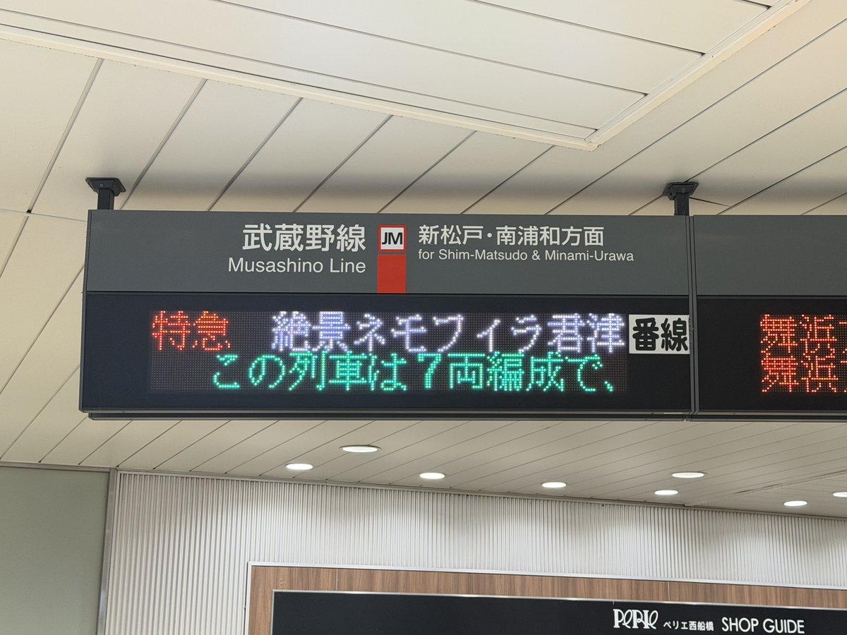 特急 絶景ネモフィラ君