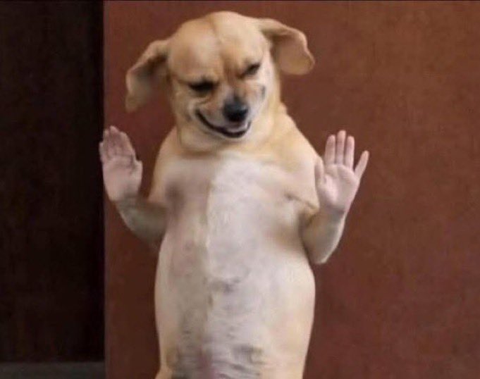 BIG FABULOUS💙🦀 tweet media