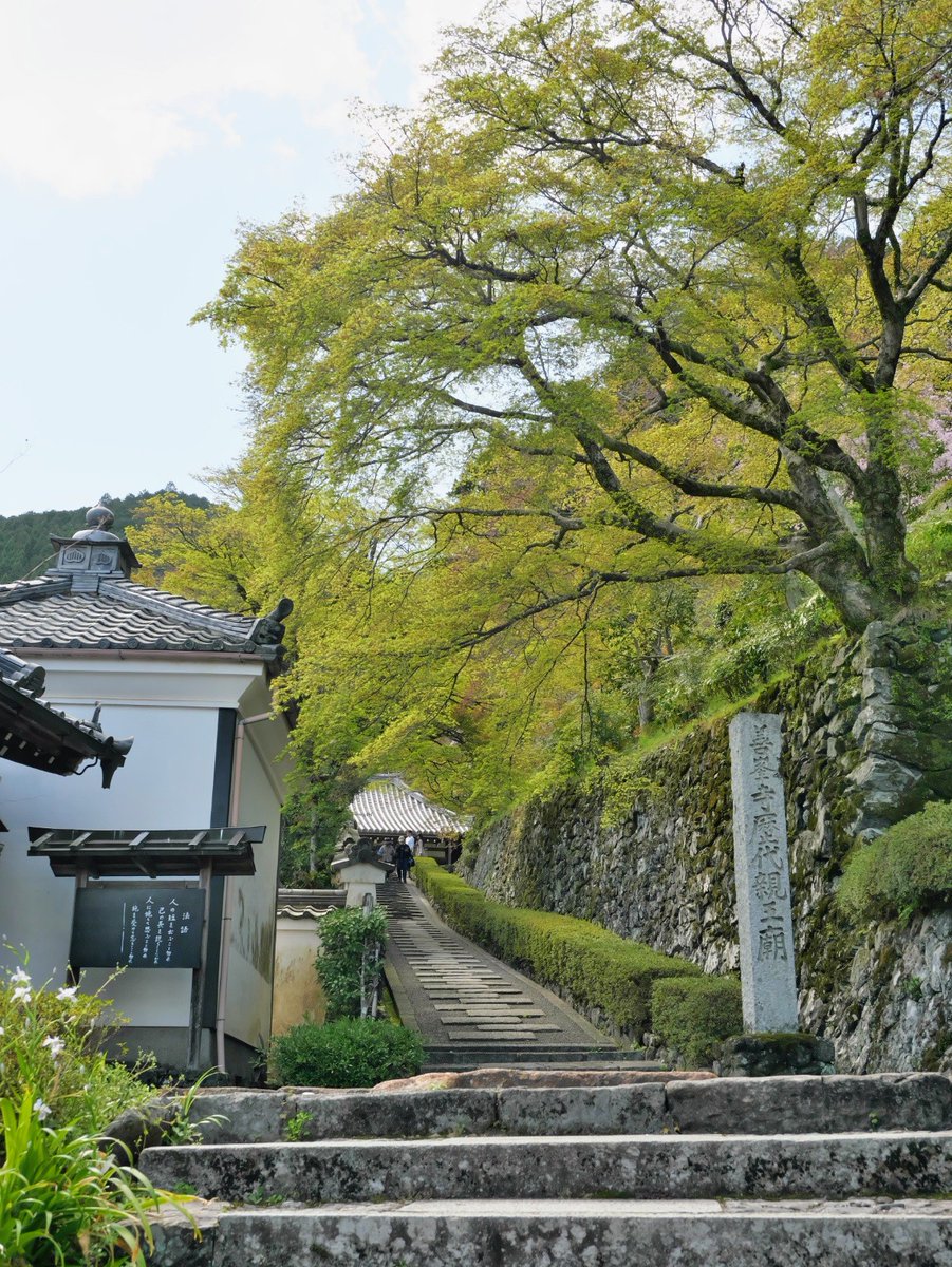 ざんざるぶ tweet media