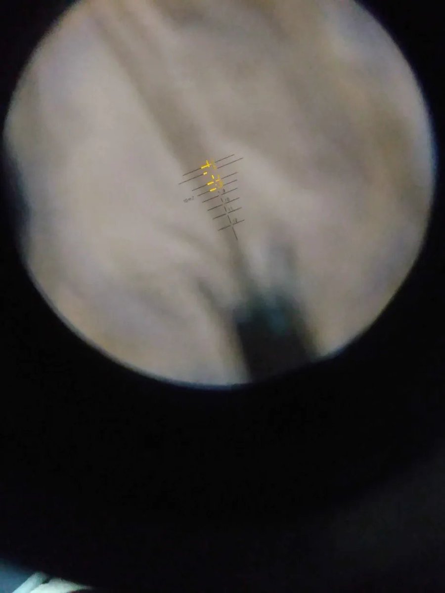 Stubbs, Medicinal Firearms Advocate tweet media