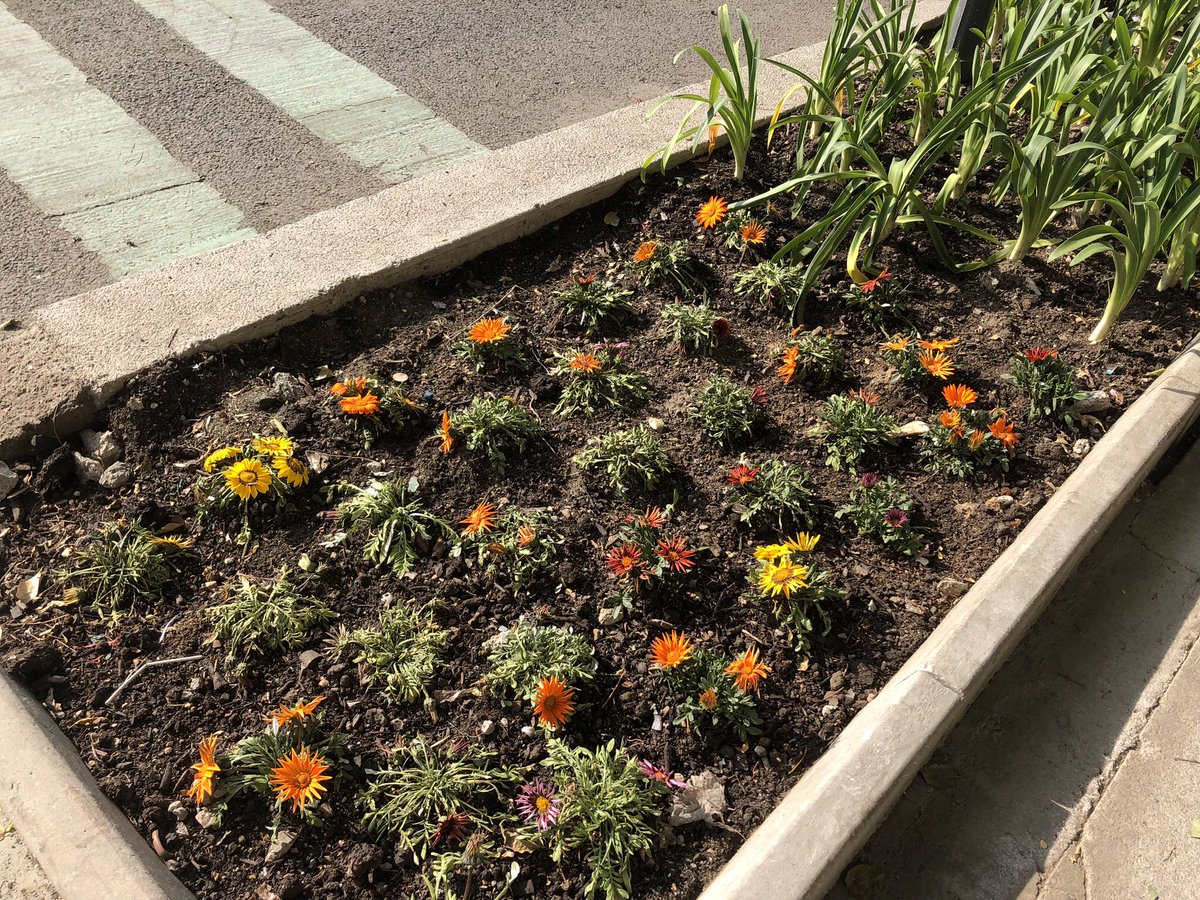 ♦Billy Red Diamond♦️ tweet media