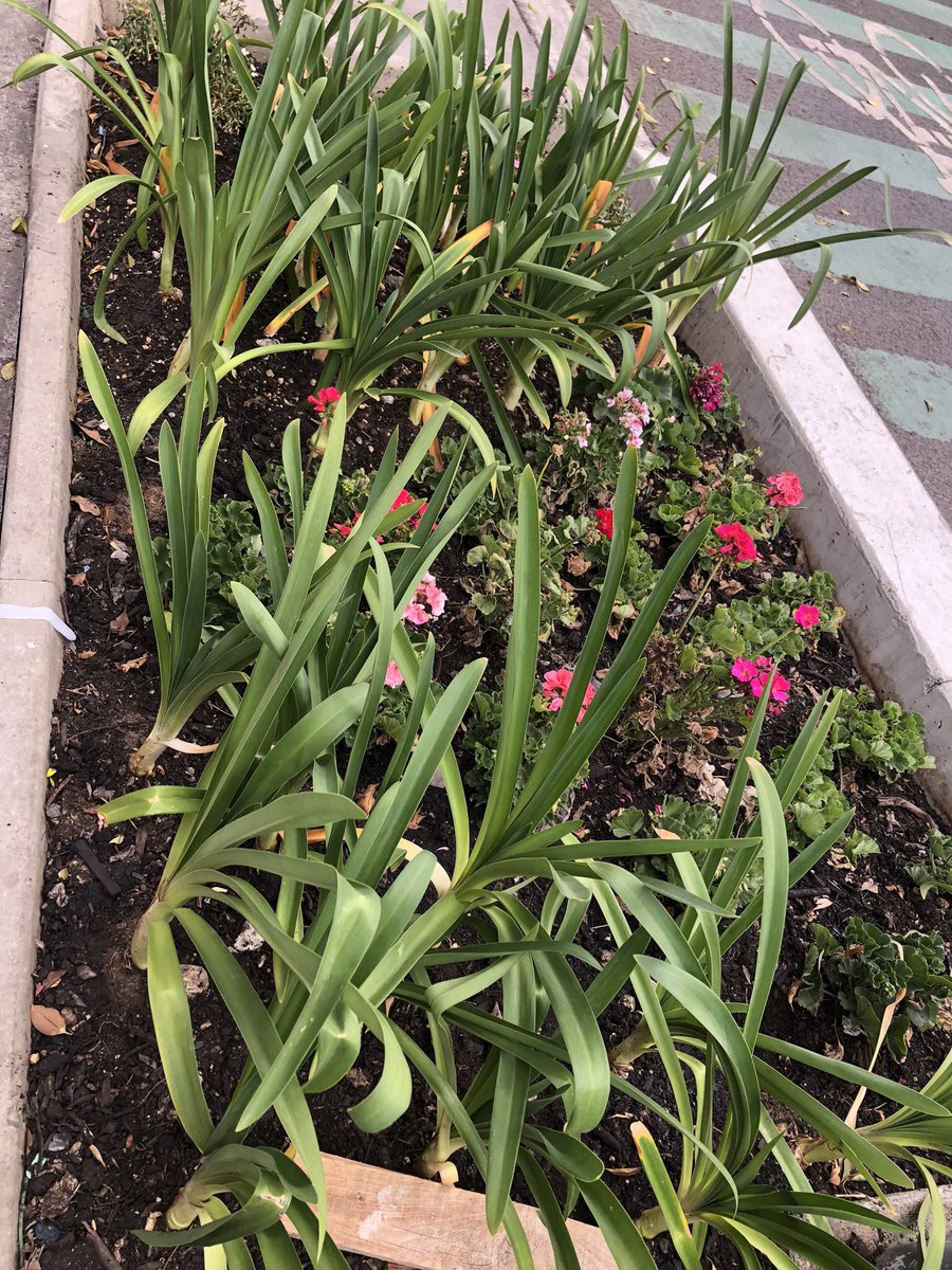 ♦Billy Red Diamond♦️ tweet media