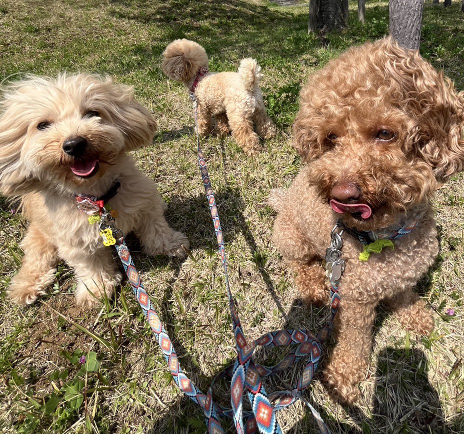 SEFIE🌸 tweet media