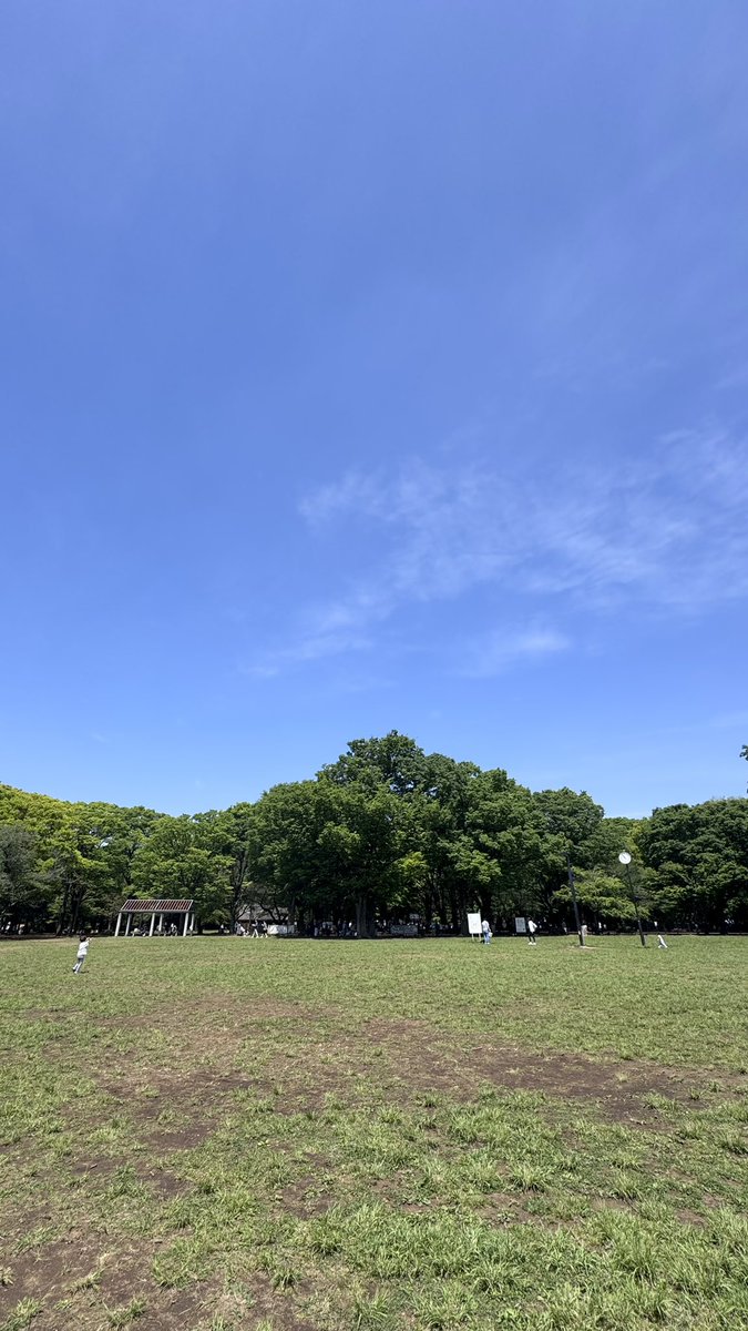 tantan0797's tweet photo. 代々木公園ラン🏃‍♂️
最高の季節🙌 https://t.co/8yxx4LWnpS