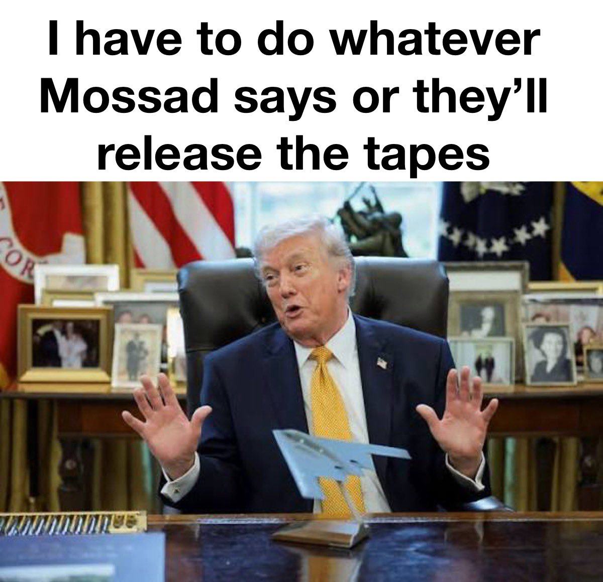 Z for Vendetta tweet media