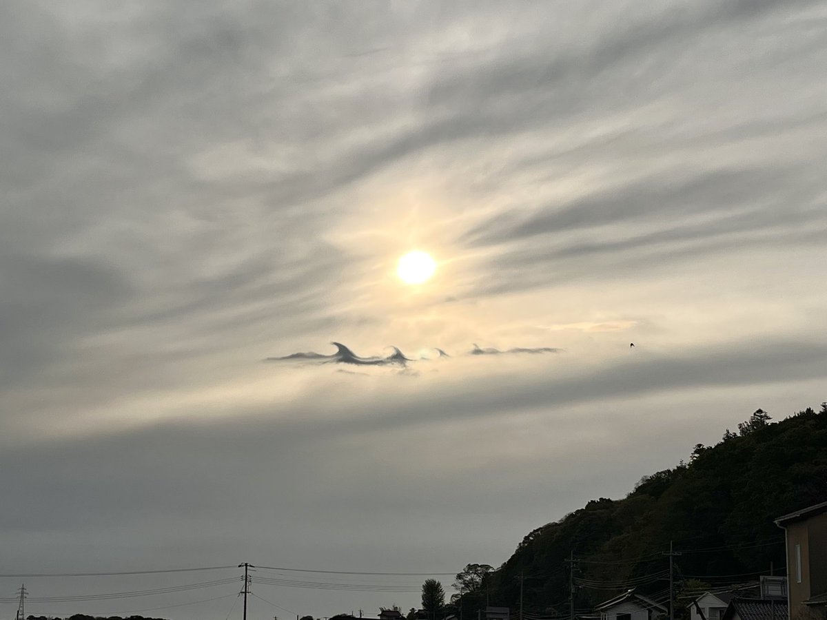 𝗮𝗰 𝟏𝟑_🐥🐰**( 𝒂¹³) tweet media