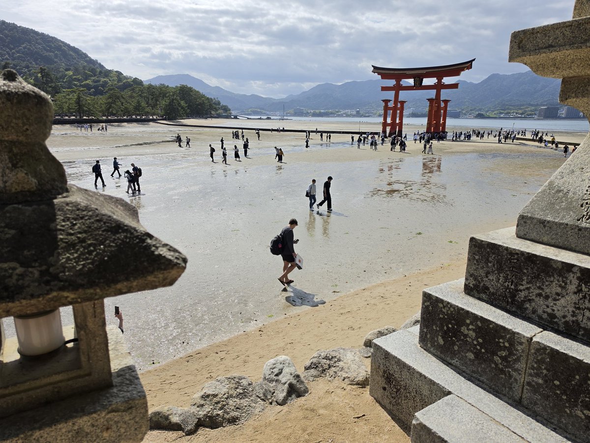 Mosha Winter ☕❄ Fantasy Author 🐉🗡 tweet media