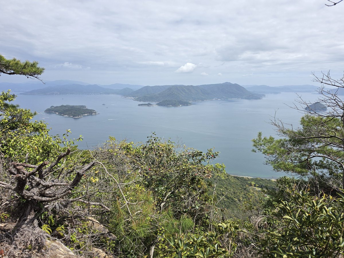 Mosha Winter ☕❄ Fantasy Author 🐉🗡 tweet media