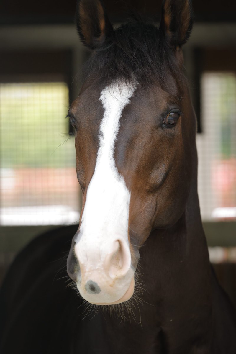 なしのき tweet media