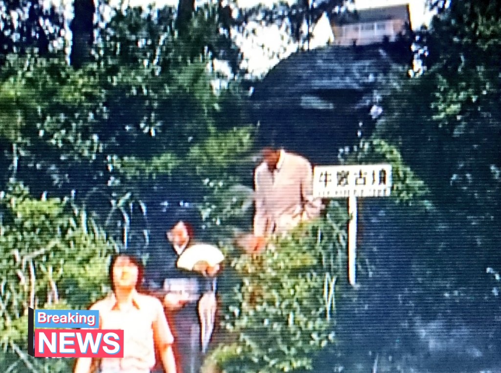 旭日亭さくら tweet media