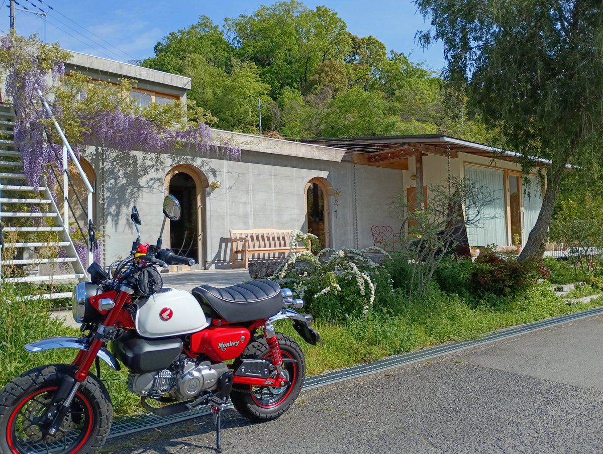 ここすっごい山の中にあるジェラート屋さんです
めっちゃオシャレ👀
藤がきれいに咲いていたので記念撮影📷
活動開始が早過ぎて開店まで1時間以上もあったので今回は断念