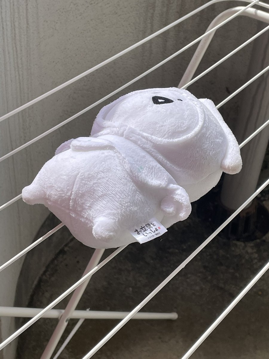 obu_v5's tweet photo. イカ🦑の丸干しの気分なのです
（※連れ歩いたら汚れちゃったのでお風呂に入れました） https://t.co/HwDKAGRdH9