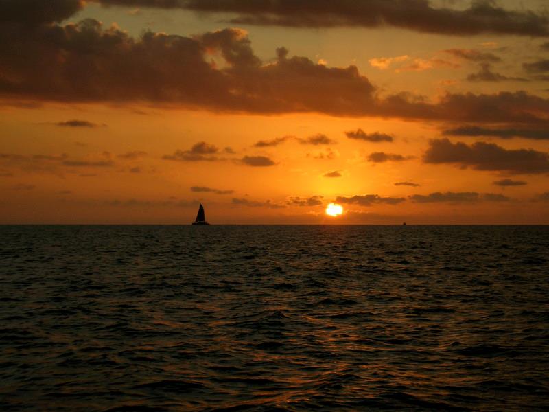 SailHawaii's tweet photo. Hawaii is one of the best places in the world to go sailing—warm trade winds, clear water, dolphins, turtles, and dramatic coastlines on every island. 
https://t.co/fLq5K7KW55 https://t.co/5Fal1iWbgY