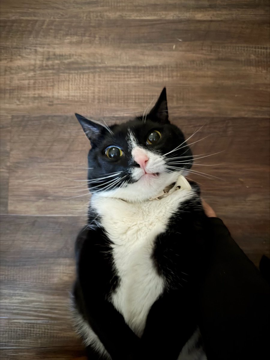 ✨aylin✨ tweet media