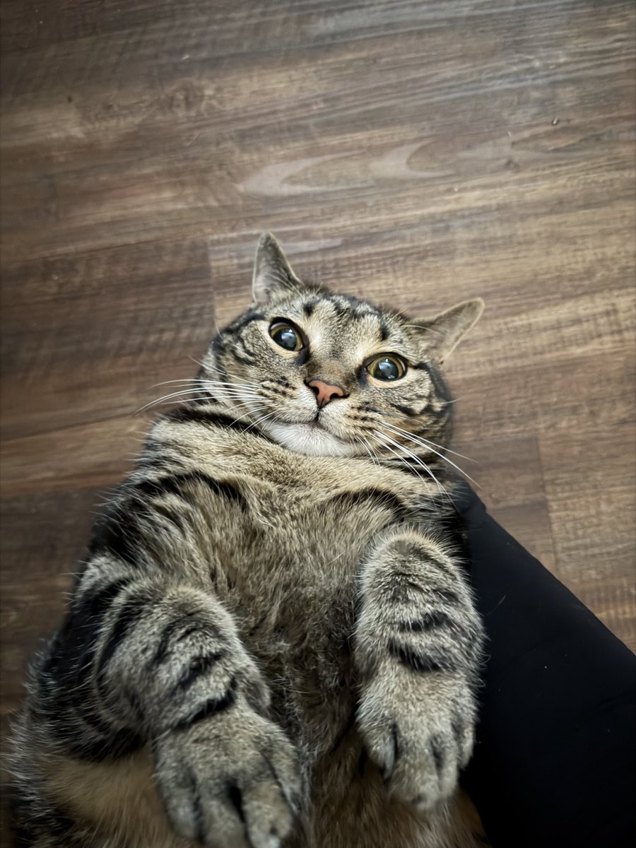 ✨aylin✨ tweet media