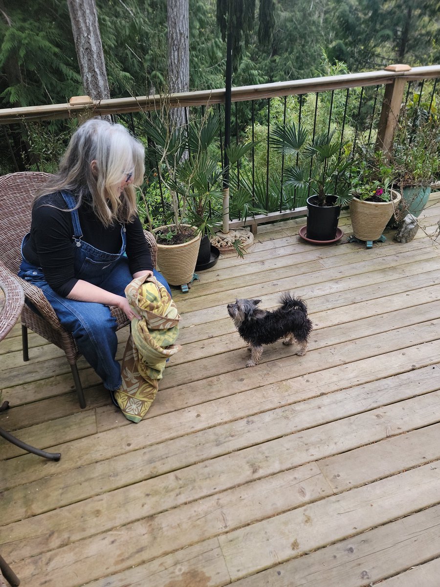 Banana Joe Freedom Fighter tweet media