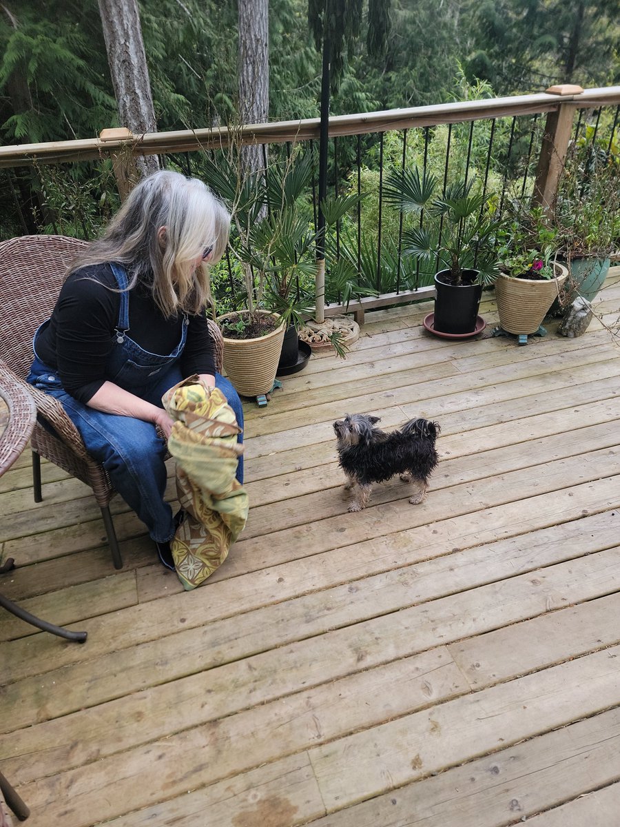 Banana Joe Freedom Fighter tweet media