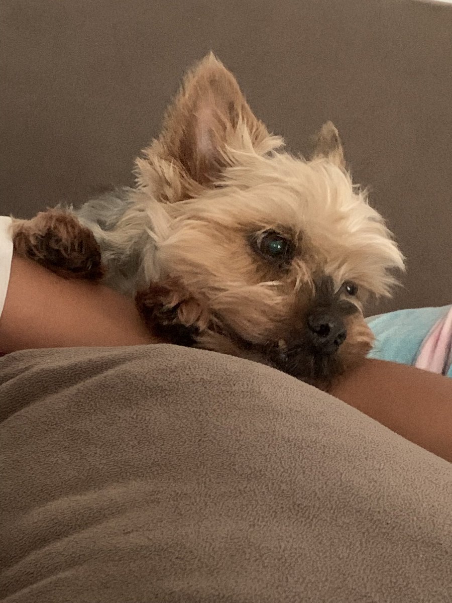 𐙚gigi bangue xan tweet media