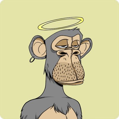 JakeZ23NFT's tweet image. #NewProfilePic