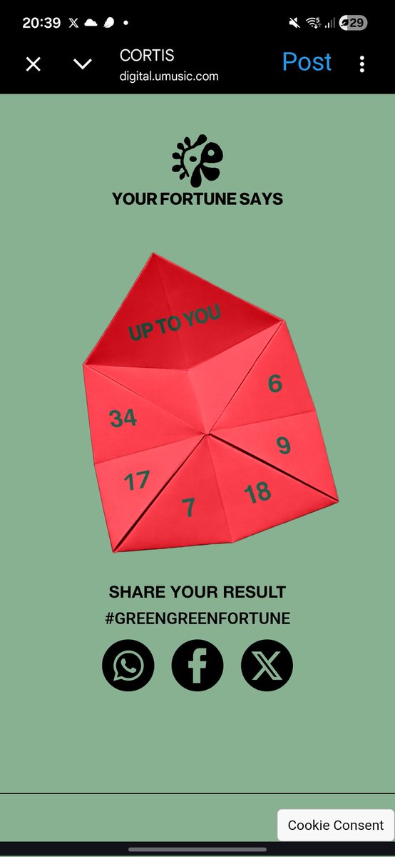 Can .ᐟ tweet media