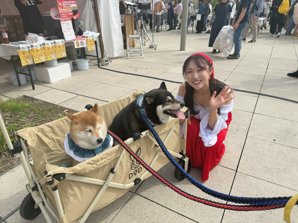 山口あや（フリーアナウンサー） tweet media