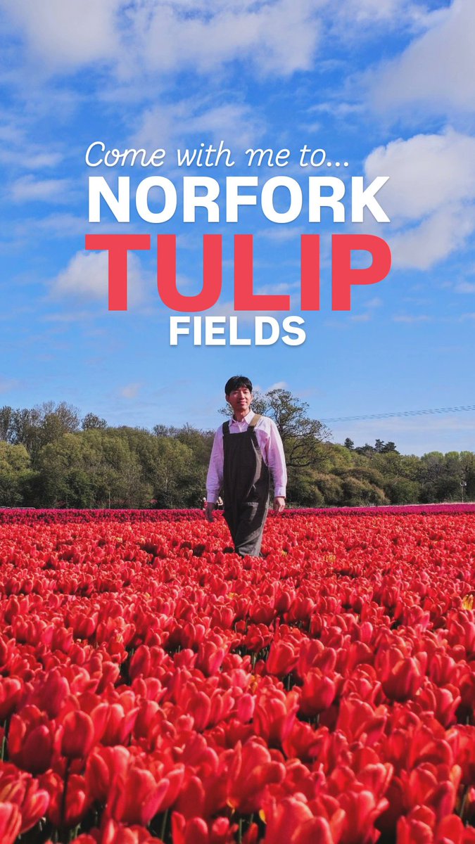 mattconnect's tweet photo. Visited the tulip fields where they filmed Munchkinland in Wicked- sooo stunning!
👇👇👇
https://t.co/vOdkkw2eI5
https://t.co/BpBnBWJfIQ https://t.co/oYyQMJegTj