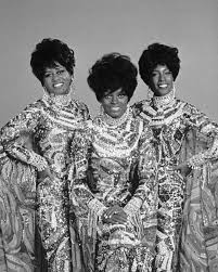 PAM JONES FOR LIBERTY / PEDOPHILE EXPOSURE PROJECT tweet media