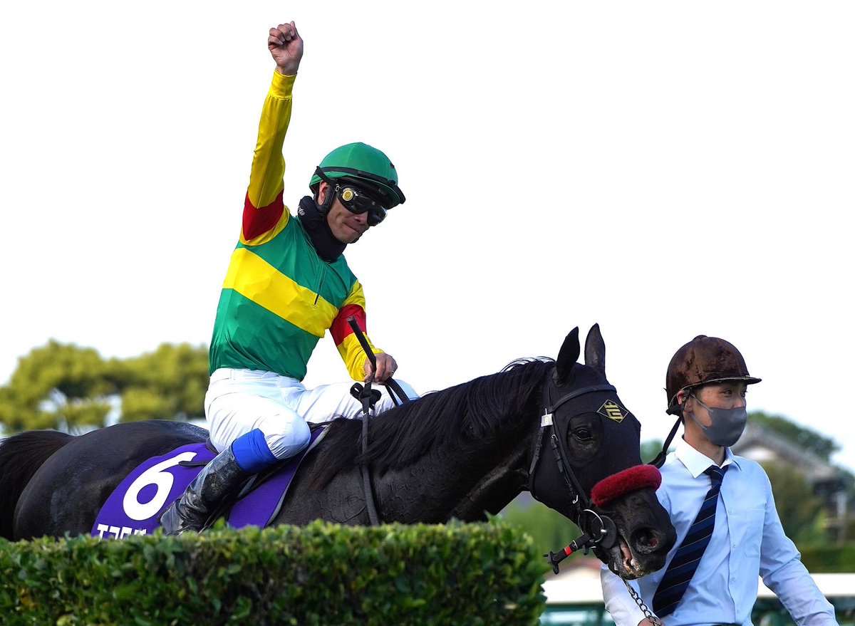 Satoshi Hiramatsu 平松さとし tweet media