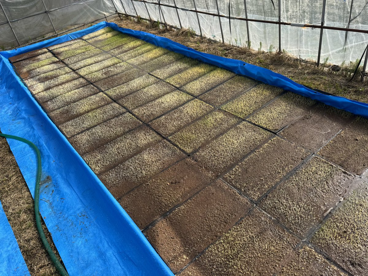 ちゃお tweet media