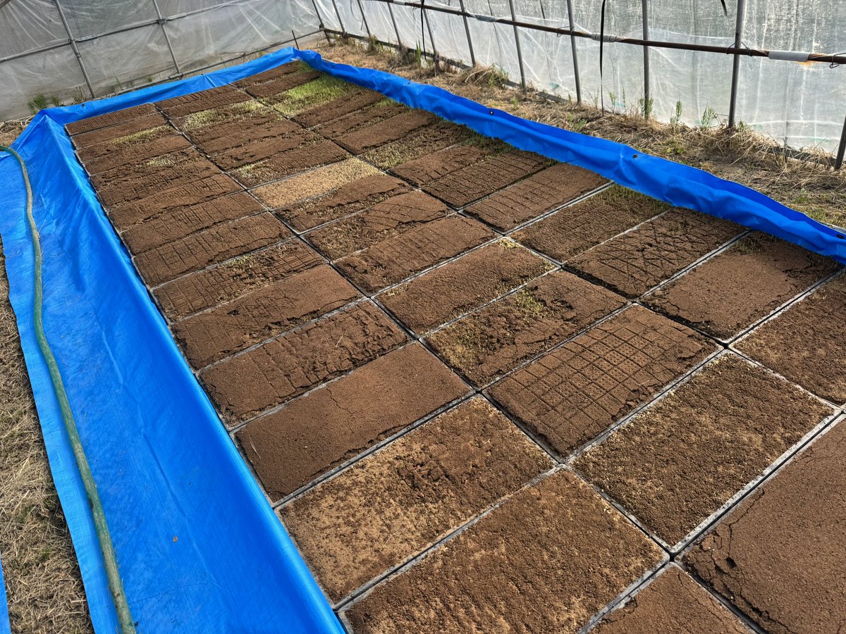 ちゃお tweet media