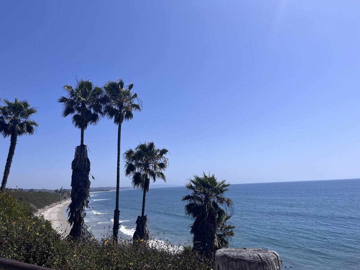 Sunshine tweet media