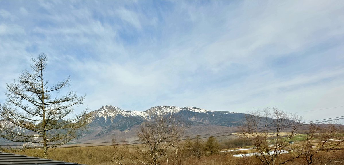 もふちゃ🍵🌸 tweet media