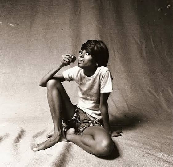 PAM JONES FOR LIBERTY / PEDOPHILE EXPOSURE PROJECT tweet media