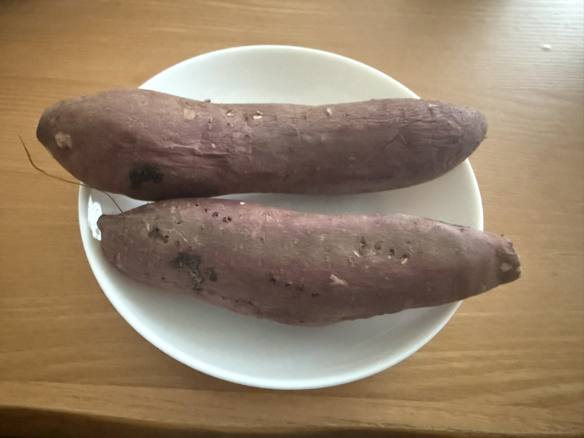 Nohachi🌿 tweet media