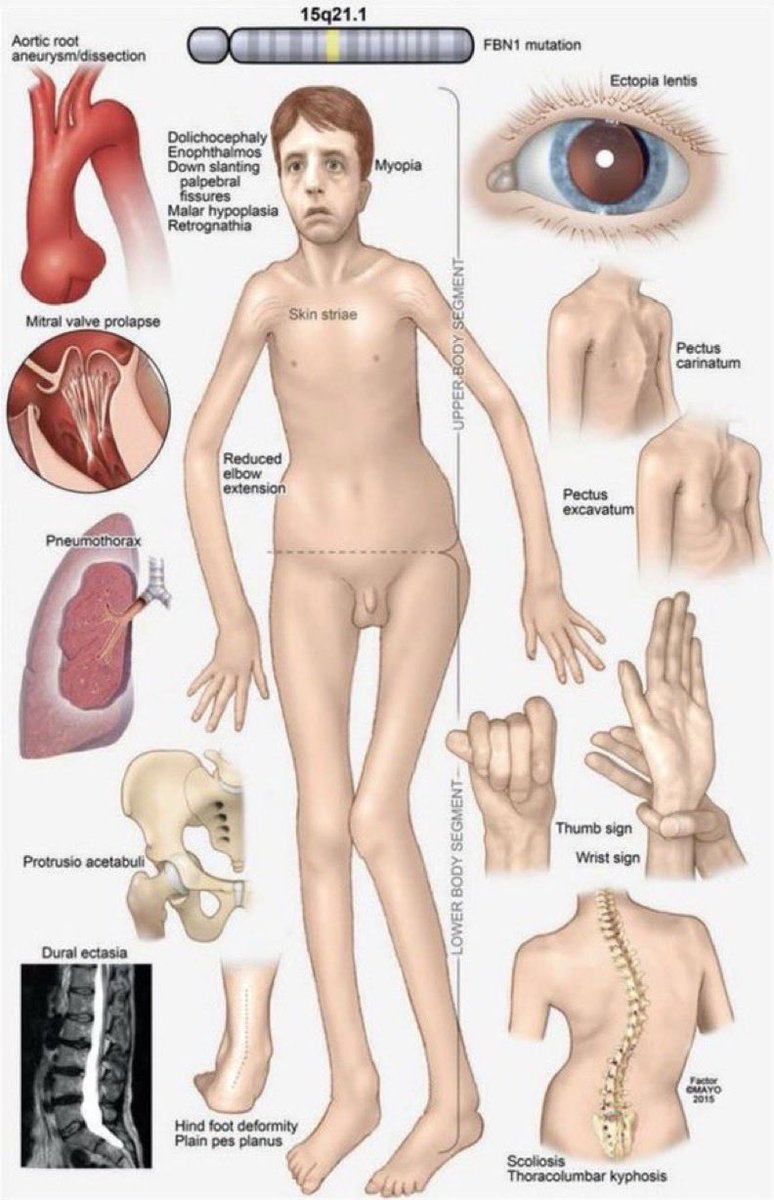 Winter Candles tweet media