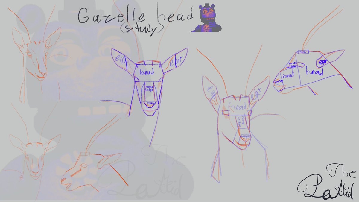 ThePallidArt's tweet image. Just some studies of gazelles #art #study #wip