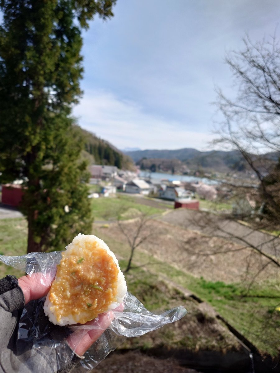 あおてん⛩ tweet media