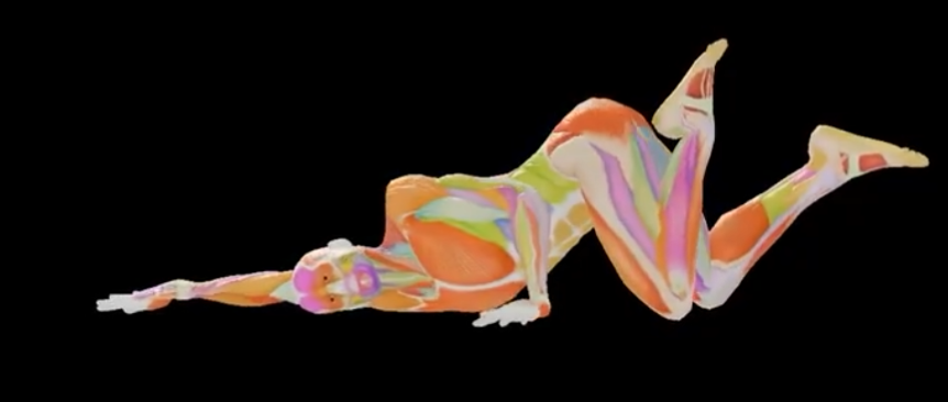 시체/シチェ tweet media