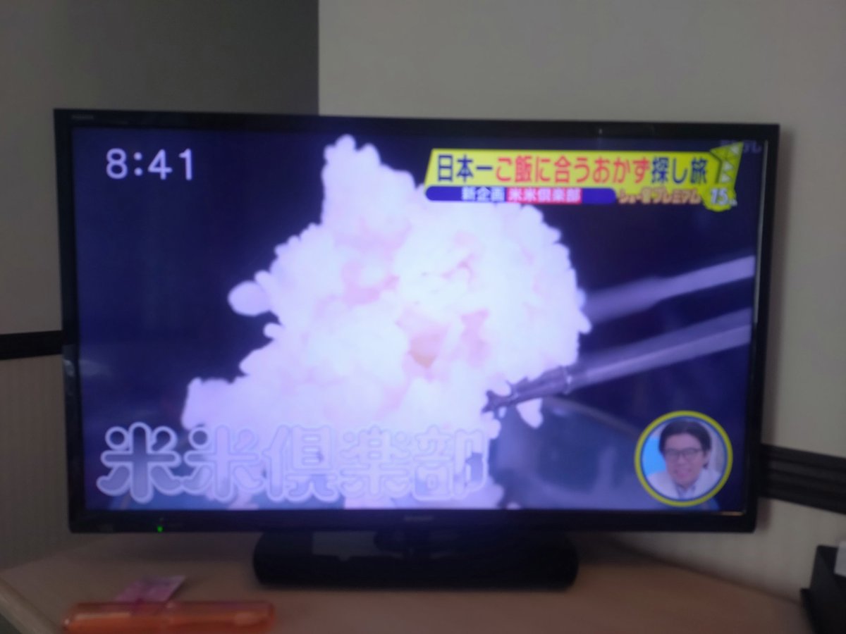 金猫あっき tweet media