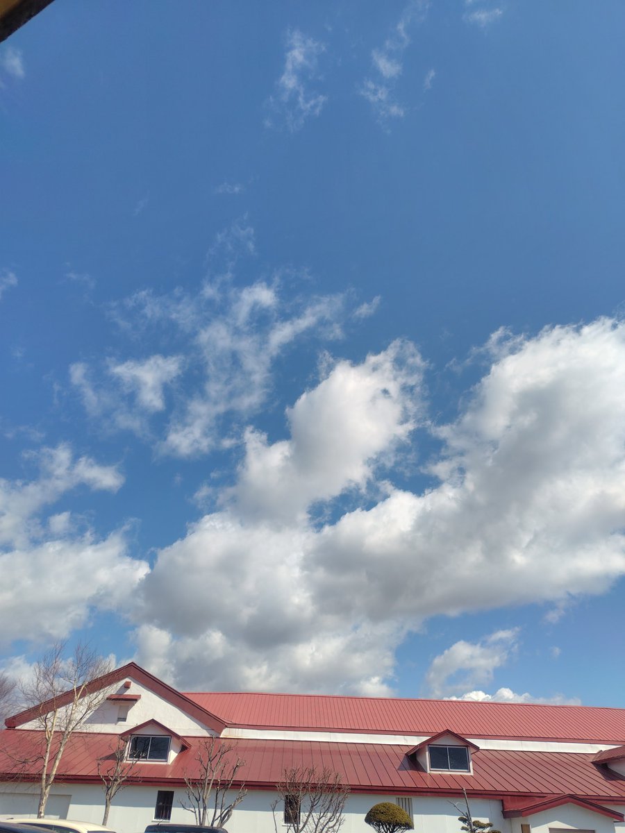 リョウ tweet media