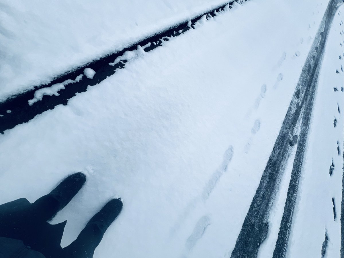 ༄☀︎ewichiえいち☺︎SGC18𓆜𓆛𓆝𓆞𓆜𓆟 tweet media