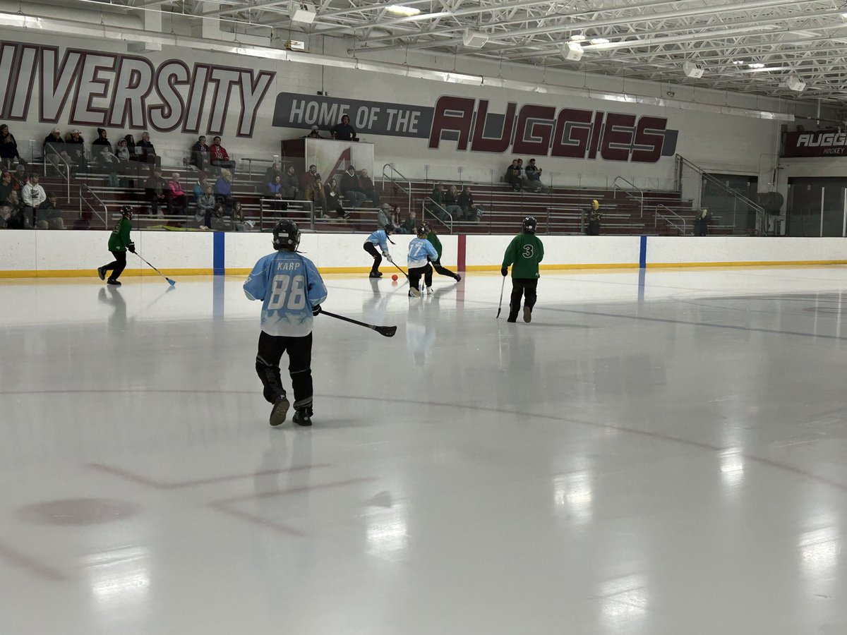 All Elite Broomball tweet media