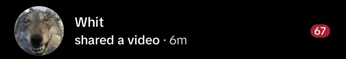 schuperr tweet media