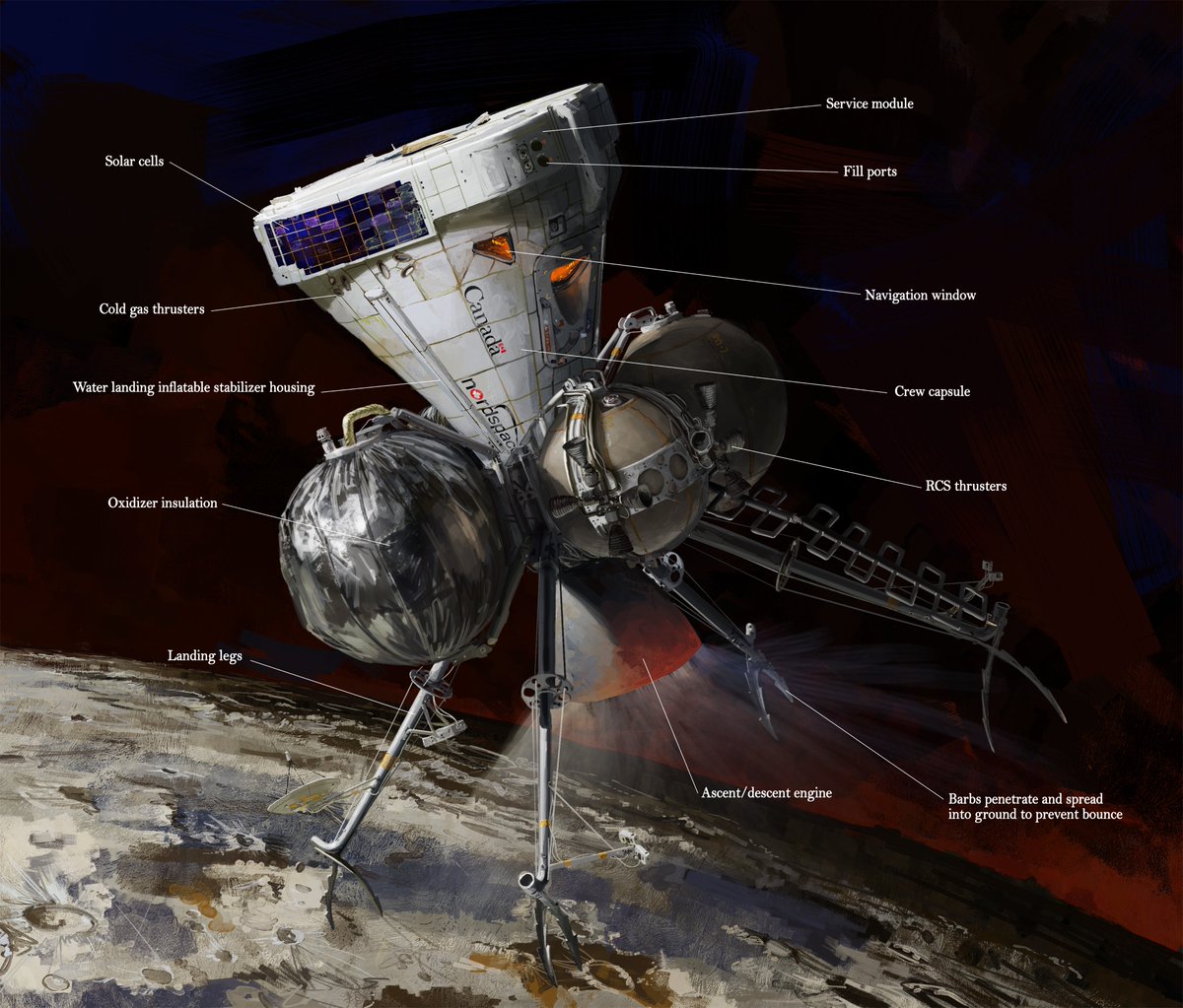 🍁 WhaleOil2 🍁 tweet media