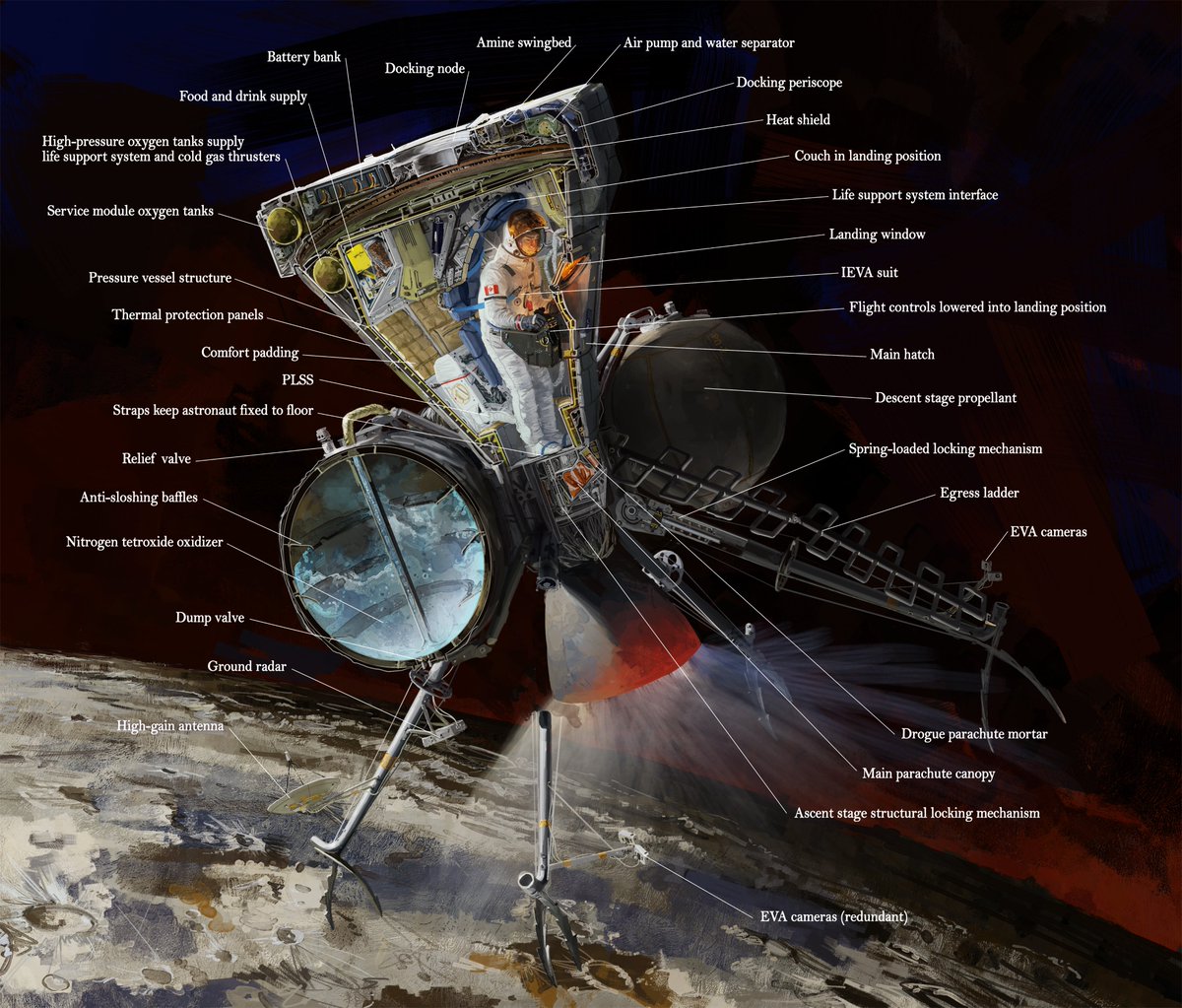 🍁 WhaleOil2 🍁 tweet media